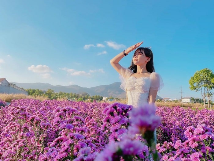 Cách chụp ảnh cực xịn tại vườn hoa thạch thảo Vũng Tàu