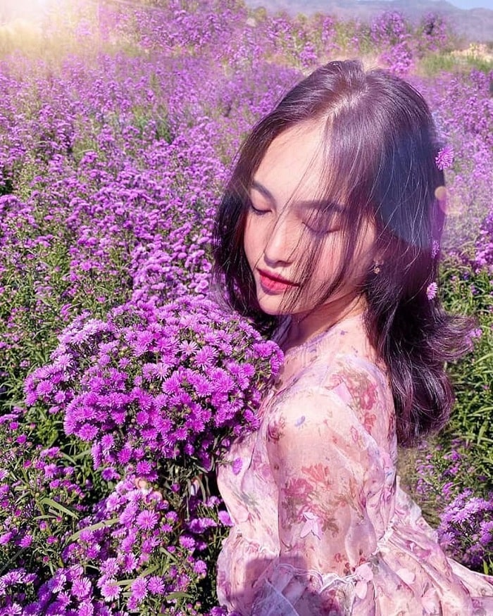 The heather garden of Vung Tau is in full bloom at the end of autumn