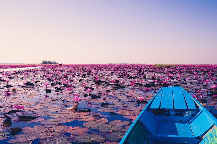 Biển Sen Đỏ, Thái Lan - địa điểm đẹp ở Đông Nam Á