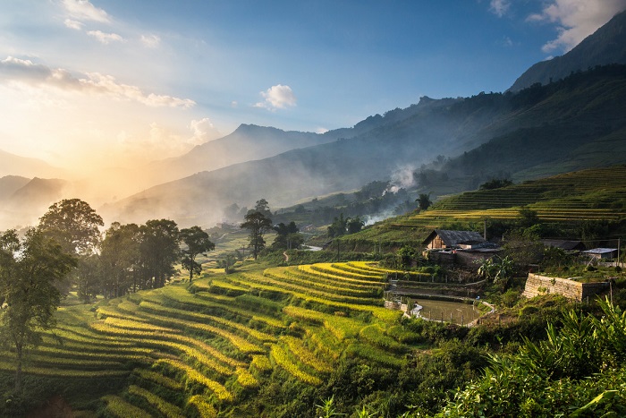 Terraced-Rice-Fields-in-Sapa-Vietnam - địa điểm đẹp ở Đông Nam Á