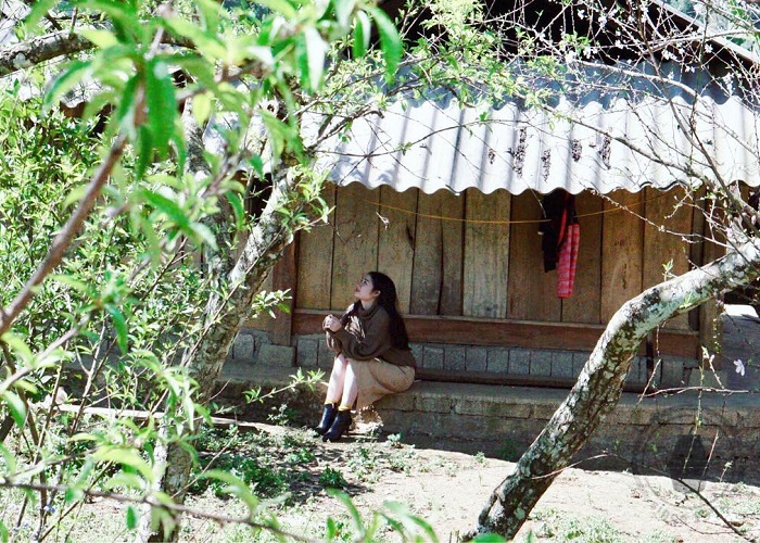Where is Phieng Canh village in Moc Chau?