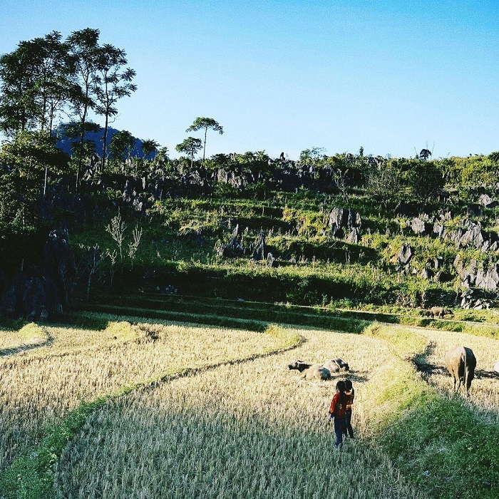 Explore the beautiful scenery of Tua Chua rocky plateau