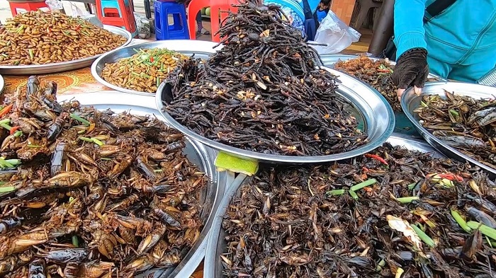 Côn trùng là món ăn độc đáo ở chợ biên giới Tịnh Biên