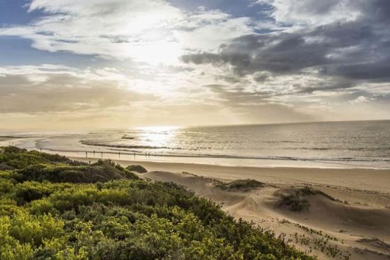 Bãi biển Paradise Nam Phi - thiên đường bình yên nơi hạ giới