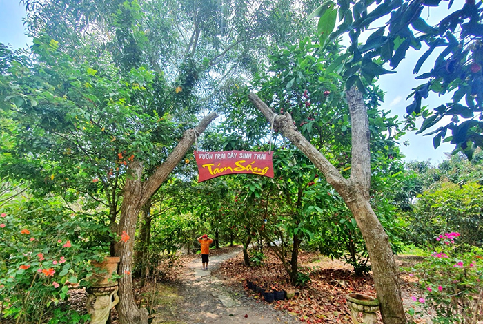 vườn trái cây sinh thái Tám Sáng Đồng Tháp - diện tích trên 2ha