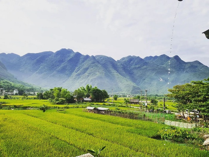 Bản Lác là bản làng đẹp của người Thái nằm ở Mai Châu