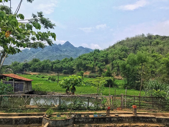 Bản Nhót là bản làng đẹp của người Thái có cảnh sắc bình yên