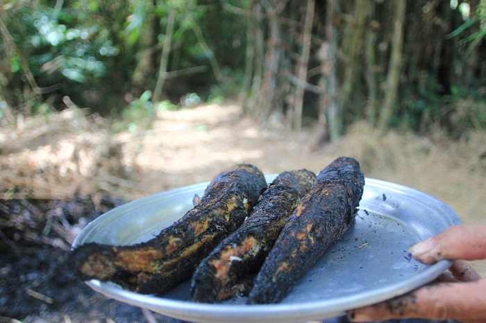 Enjoy grilled snakehead fish from Ca Mau