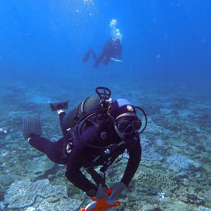 Vịnh Sodwana ở công viên ngập nước ISimangaliso Nam Phi 