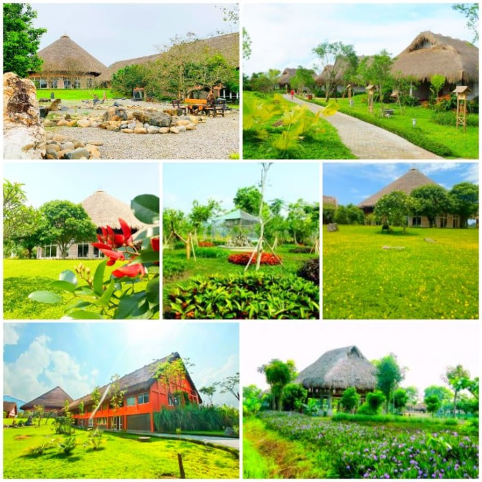 Cúc Phương Resort Ninh Bình - thiết kế