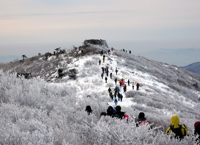 Núi Taebaeksan - cung đường leo núi tại Seoul 
