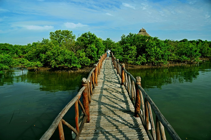 ecosystem in Vung Tau Pearl Island
