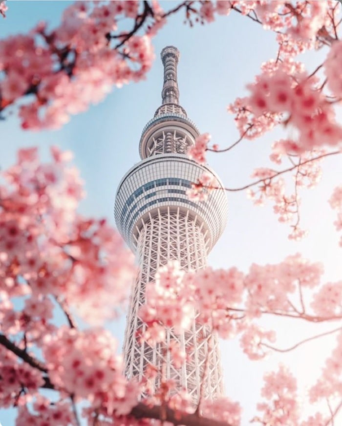 Điểm tên những địa điểm quay phim Hàn Quốc nổi tiếng Tháp Namsan - địa điểm quay phim Hàn Quốc nổi tiếng