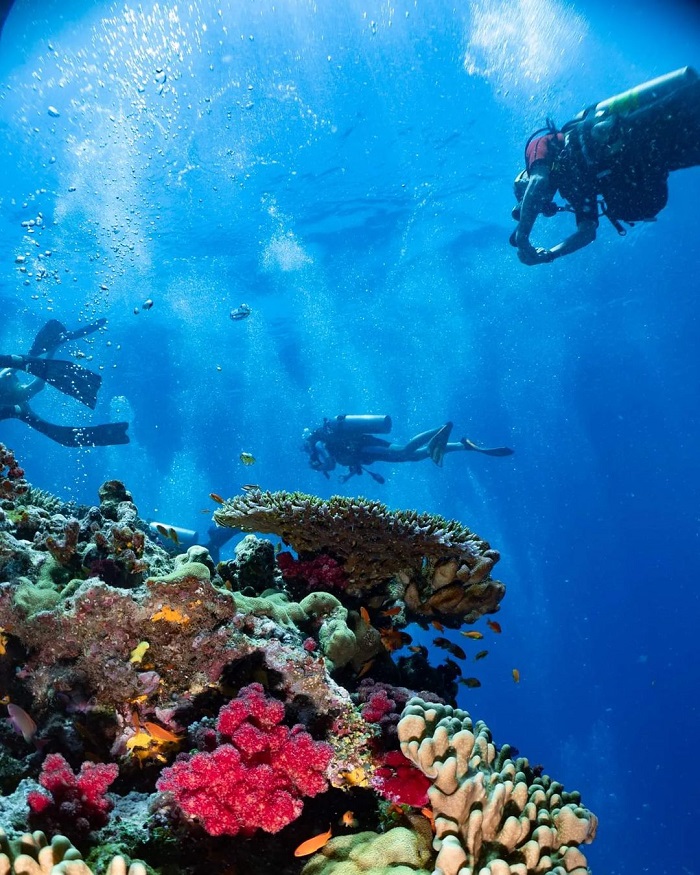 FIji là điểm lặn biển trên thế giới ai cũng nên một lần ghé thăm