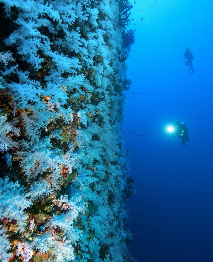 FIji là điểm lặn biển trên thế giới với một vẻ đẹp không thể làm ngơ