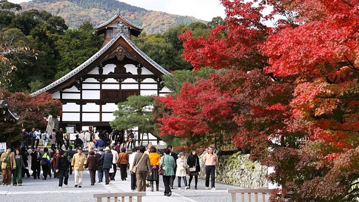Chùa Tenryuji là điểm ngắm lá mùa thu đẹp ở Nhật Bản