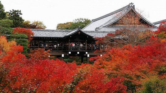 Đền Tofukuji là điểm ngắm lá mùa thu đẹp ở Nhật Bản