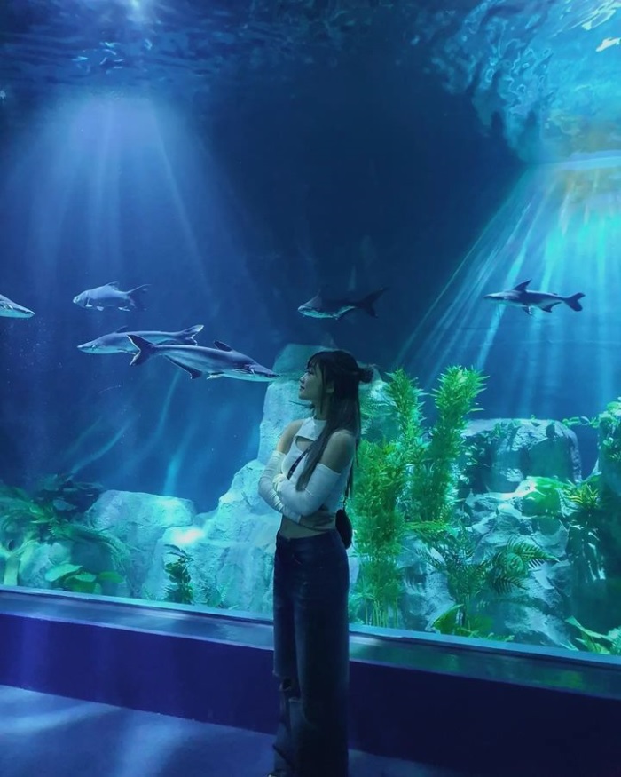 kinh nghiệm đi Lotte Mall Tây Hồ - khu thuỷ cung