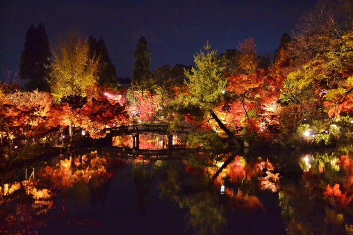 chiêm ngưỡng mùa thu ở đền Eikando 