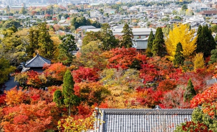 Chiêm ngưỡng mùa thu ở đền Eikando 