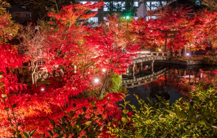 Mùa thu ở đền Eikando  - Thông tin chung