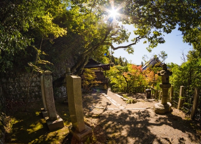 Mùa thu ở đền Eikando  - Thông tin chung