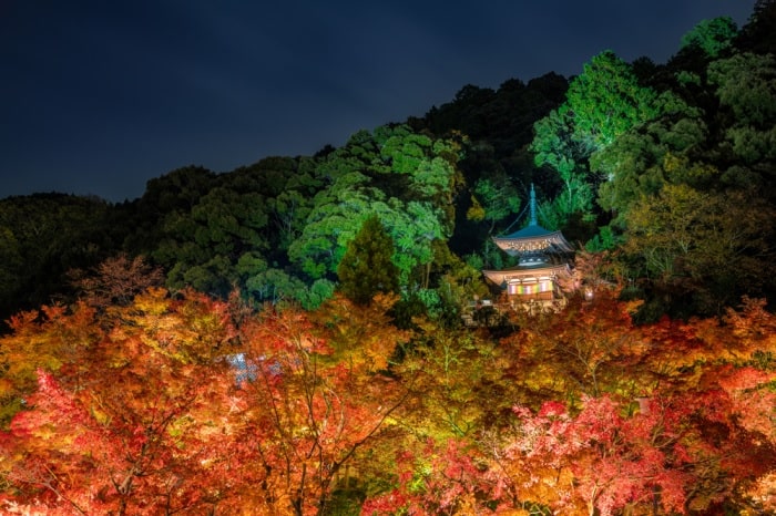 Chiêm ngưỡng mùa thu ở đền Eikando 