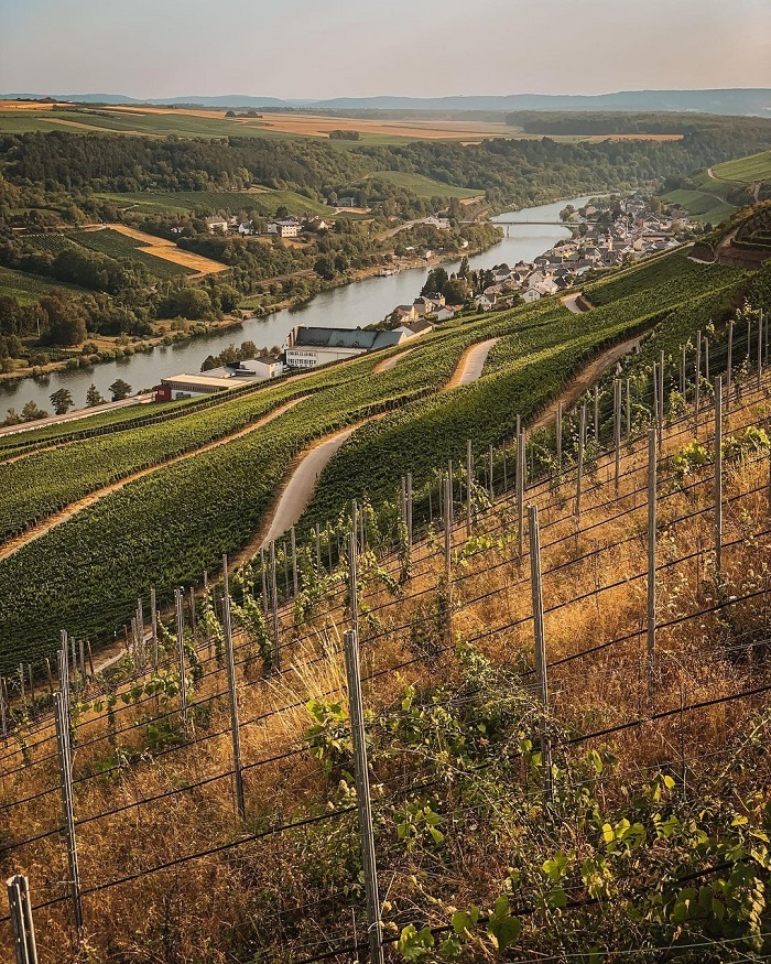 Thung lũng Moselle là thung lũng đẹp ở châu Âu có khung cảnh ấn tượng