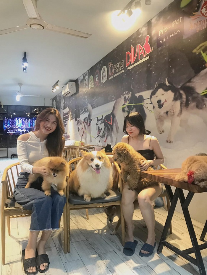 Pet cafe in Saigon - Pet Ideal