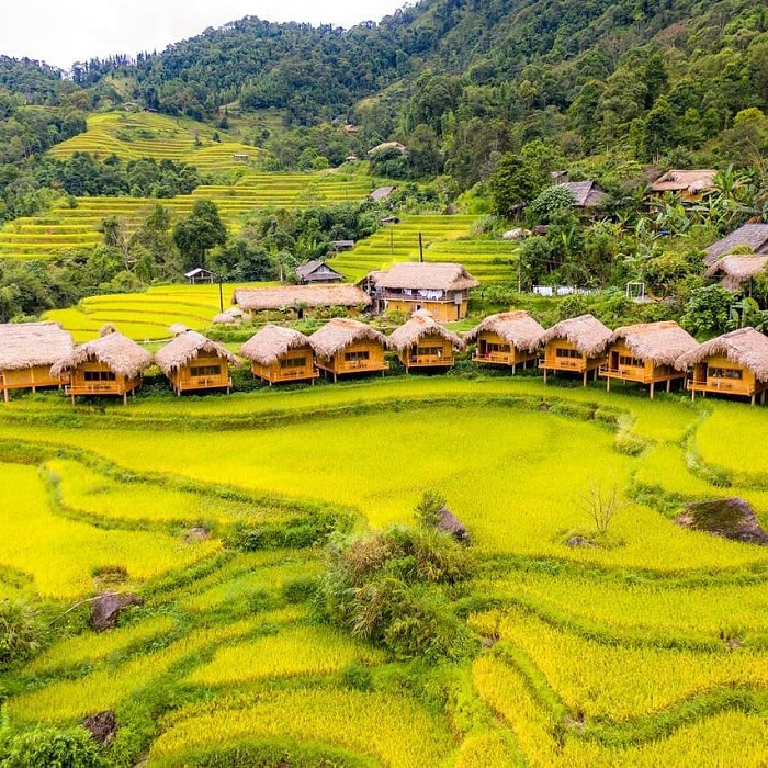 Hoang Su Phi Lodge là resort đẹp ở Hà Giang được du khách mê mẩn