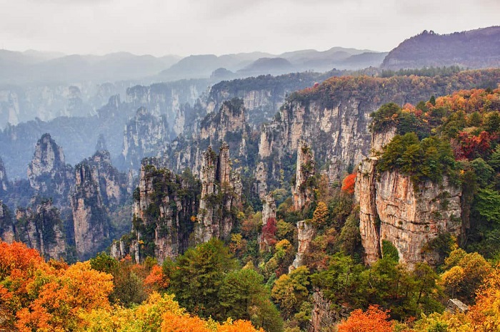 Zhangjiajie National Forest Park là nơi có những rừng lá phong đẹp trên thế giới vào mùa thu
