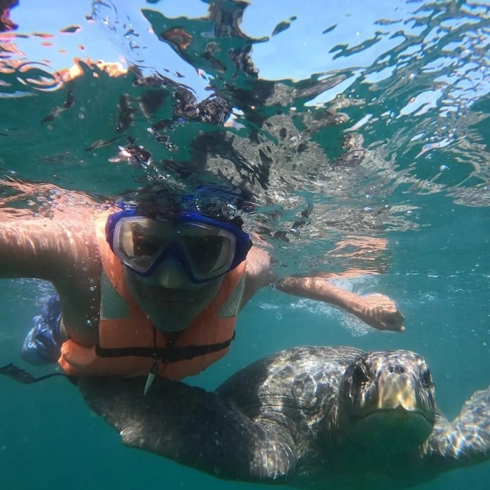 Bơi cùng rùa xanh là việc nên làm ở thị trấn Mancora Peru