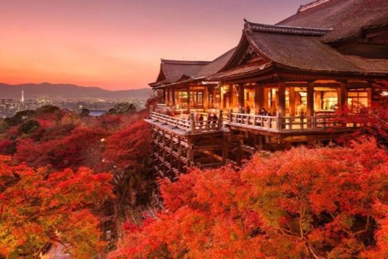 ‘Rực đỏ’ với sắc phong vào mùa thu ở đền Eikando 