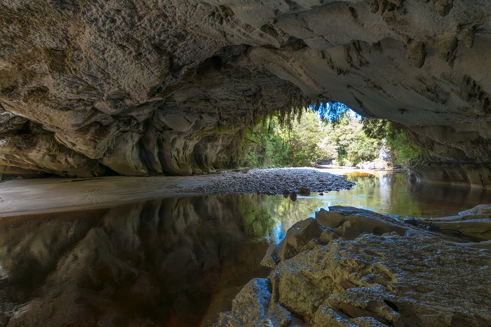 Khám phá hang động và vòm khổng lồ ở lưu vực Oparara - vườn quốc gia Kahurangi