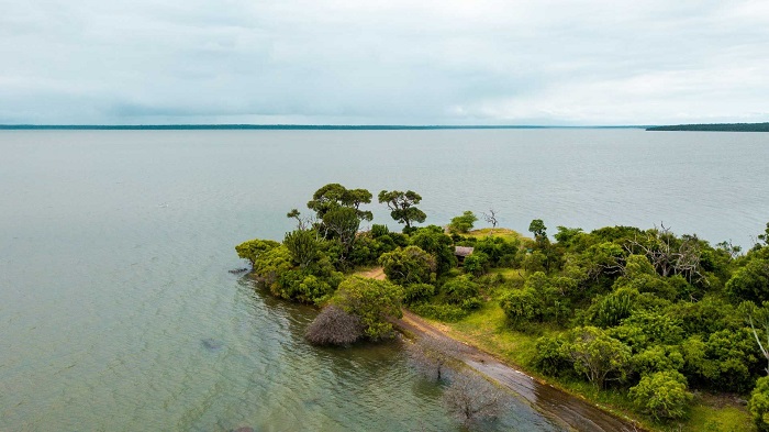 Vịnh Giả ở công viên ngập nước ISimangaliso Nam Phi 