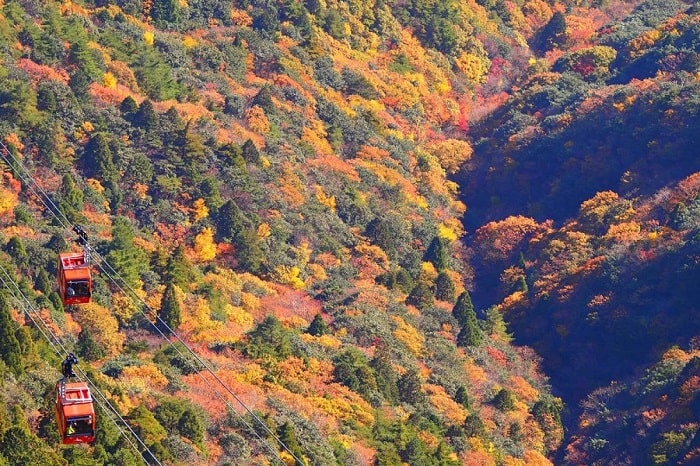 Núi Gozaisho là điểm ngắm lá mùa thu đẹp ở Nhật Bản