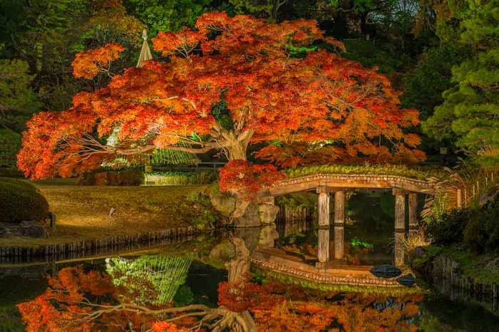 Vườn Rikugien là điểm ngắm lá mùa thu đẹp ở Nhật Bản