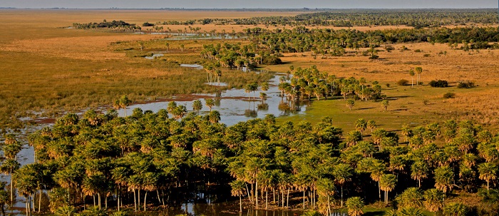 Vùng đất ngập nước Ibera Argentina