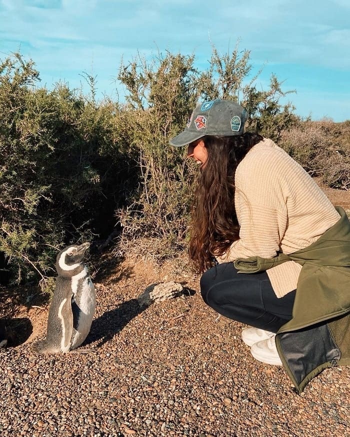 Khám phá bán đảo Valdes là điều cần làm ở thành phố Puerto Madryn
