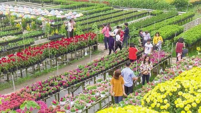 Đi dạo và đạp xe là việc cần làm khi tới công viên Sa Đéc Đồng Tháp