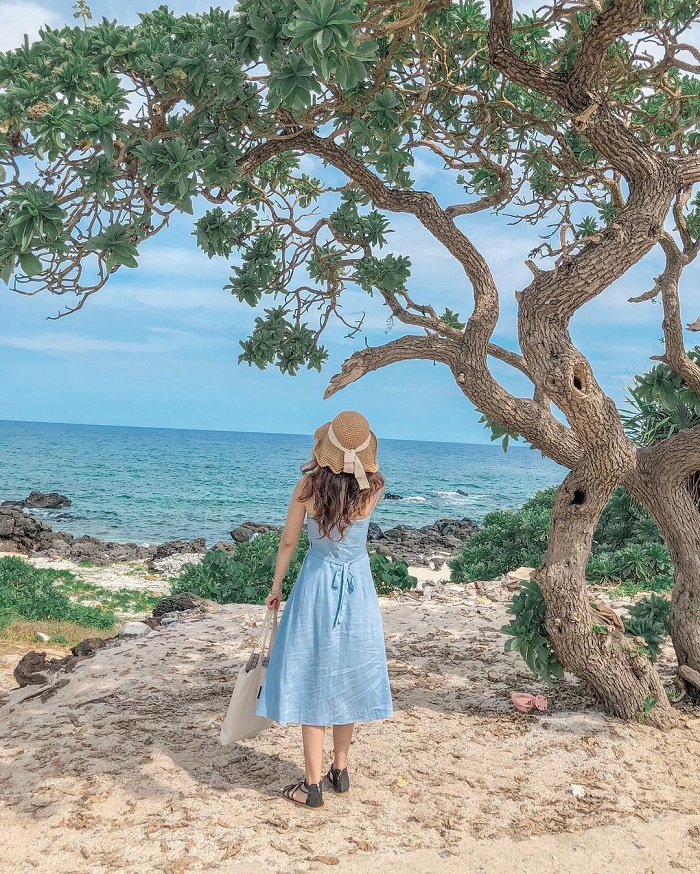 Lý Sơn là điểm đến mùa thu ở miền Trung mang đến nhiều trải nghiệm thú vị