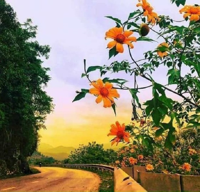 Du lịch Văn Quan Lạng Sơn khám phá đèo Lùng Pha