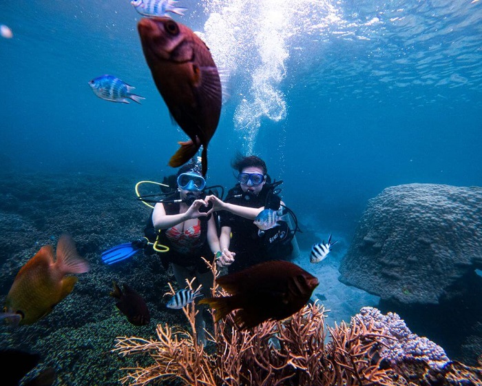 Khám phá thế giới san hô dưới biển là hoạt động không nên bỏ lỡ ở làng chài Phú Long