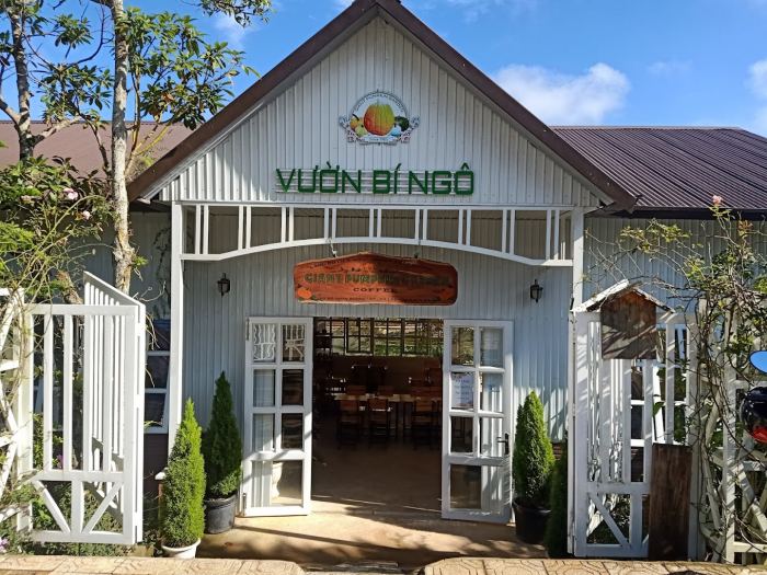 vườn bí ngô khổng lồ Đà Lạt 