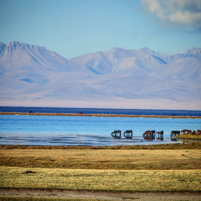 Hồ Song-Kul cũng là điểm đến mùa thu đẹp nhất Trung Á cực hấp dẫn