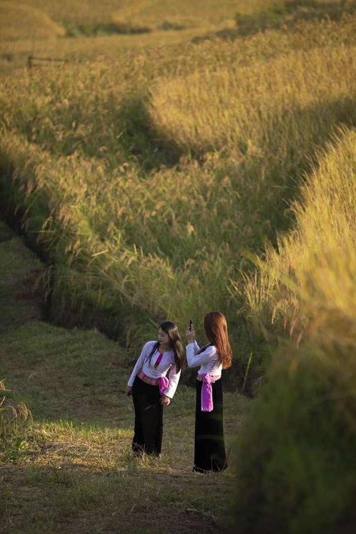 du lịch Hoà Bình tháng 11 - mùa lúa chín