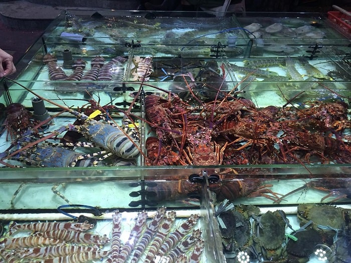 Dạo quanh khu chợ hải sản là hoạt động thú vị nên làm khi đến chợ Lei Yue Mun 