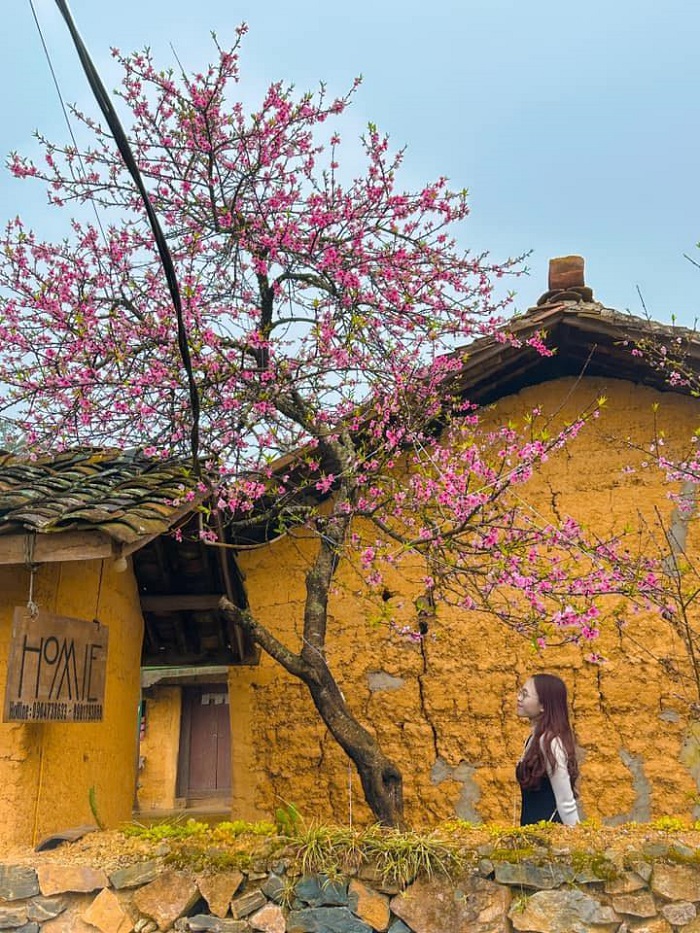 Đồng Văn Homie Homestay là homestay đẹp ở Đồng Văn có view cực đẹp