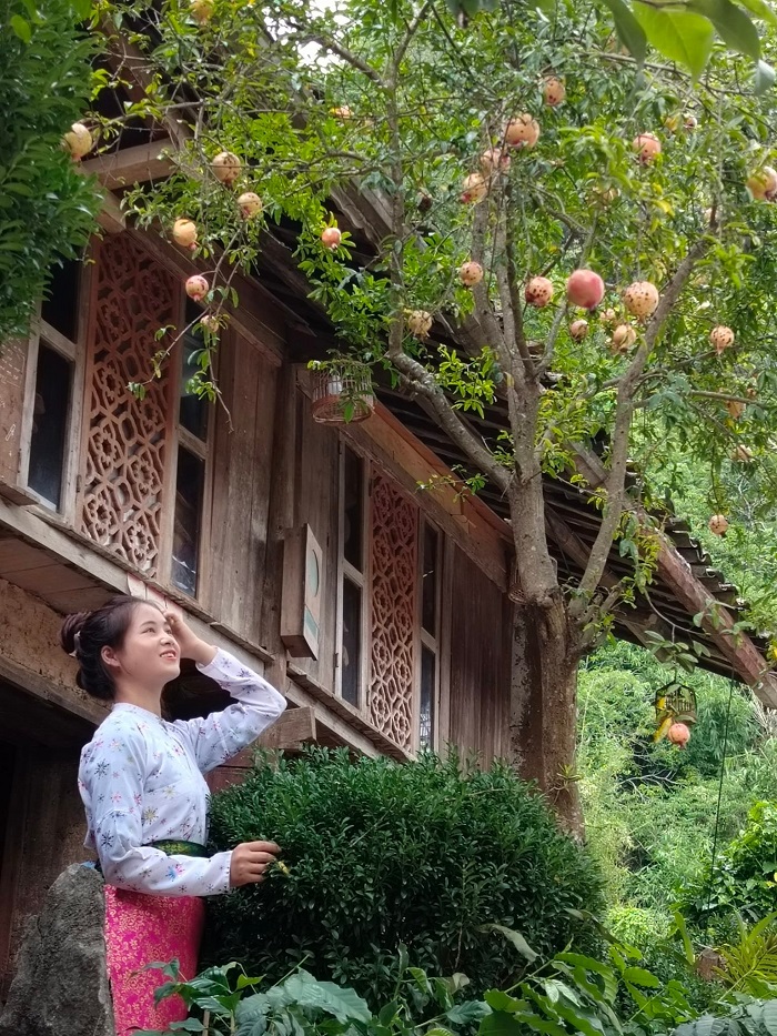 Nhà cổ homestay 1925 là homestay đẹp ở Đồng Văn mà bạn có thể tham khảo