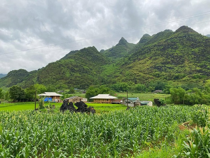 Khám phá Cốc Pàng Cao Bằng ngắm một bức tranh xanh ngát